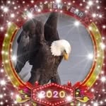 August Gonzalez - @augustine_gonzalez - Instagram
