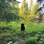 August Kvam Ausen - @august.ka.06 - Instagram