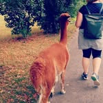 August - @augustsuttong2c4 - Instagram