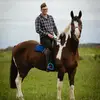 Gus Thompson - @gusthompson98 - TikTok