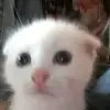 weberaugust01 - @weberaugust01 - TikTok