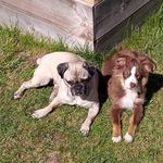 August-Wilhelm Strohmeier - @aws1966 - Instagram