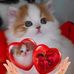 Augustine Chou - Facebook