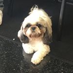 Augustine Gonzales - @agustinegonzales - Instagram