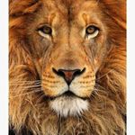 Jose Augustine Gonzales - @jose.stuart.5283 - Instagram