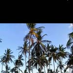 Augustine Owino - @oballaaugust - Instagram