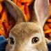 Augustine Paul - Facebook