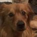 Warner Augustine - Facebook