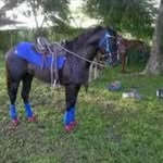 Rafael Augusto Carrillo - @carrillorafaelaugusto - Instagram
