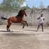 Augusto Celis Medina - @augustocelismedin - TikTok