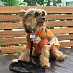 Shepard Augusto Celis - @shepardaugusto - Instagram