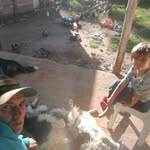 Augusto Lopez Pereira - @augustolopezpereira - Instagram