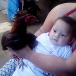 Cesar Augusto Vela Neyra - @cesaraugustovelaneyra - Instagram