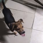 Augusto Perdomo Melo - @cesaraugustoperdomomelo - Instagram