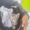 alexa - @aura.asencio2 - TikTok
