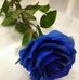 Aurel Belea - Facebook