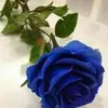 Aurel Belea - @aurel.belea - TikTok