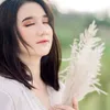 Aurel Crisanti - @aurelcrisanti - TikTok