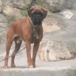 Aurelio Diaz Riesgo - @aureliodiazriesgo - Instagram