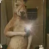 Aurelio Lopez - @aurelio.lopez059 - TikTok