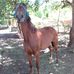 Aurelio Lopez - Facebook