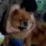 Marco Aurelio Maciel Maciel - @marcoaureliomacielmaciel - Instagram