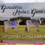 Aurelio Muñoz - @aurelio.munoz.7106 - Instagram