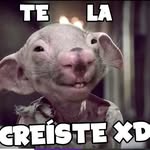 Aurelio Peña - @aureliopena7 - Instagram