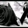 trejo - @aureliotrejo49 - TikTok