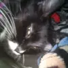 Aurora Adame - @aurora.adame6 - TikTok