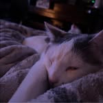 Aurora Allen - @aallen4444 - Instagram