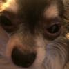 aurorabaker - @ilikefoood5289 - TikTok