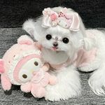 Aurora Chen - @iiyaya_o9 - Instagram