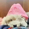 Aurora Cornejo - @aurora.cornejo9 - TikTok
