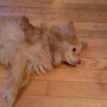 Aurora - @auroradecker1 - Instagram