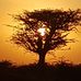 Aurora Sundrop Decker Kyumbi - Facebook
