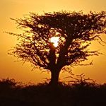 Aurora Sundrop Decker Kyumbi - @aurorasundrop - Instagram