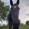 Aurora Gray - @aurora.gray5 - TikTok