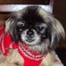 Aurora Kessler - Facebook