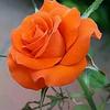 AURORA KHAN - @user085744783 - TikTok
