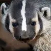 Aurora - @aurorakleinschmit - TikTok