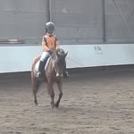 Aurora Belén - @aurorakleinelilyfee - Instagram