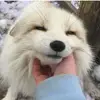 Aurora - @aurora_lambert - TikTok