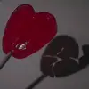 Luz Aurora Leaños Va - @luzauroraleanos94gmail.c - TikTok