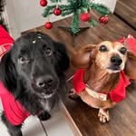 Aurora e Preto Garcia Lemos - @manosgege - Instagram