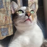 Aurora Lemos - @auroralemosh - Instagram