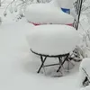 Aurora Leon - @aurora.leon7 - TikTok