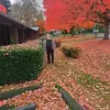 Aurora Lepe - @aurora.lepe - TikTok
