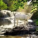 Silvia Perez - @auroralerma26 - Instagram