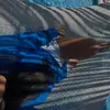 Aurora Leyva - @auroraleyva2 - TikTok